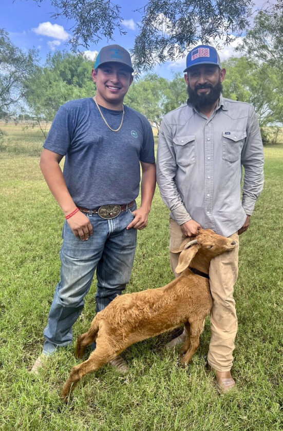 Willy the Texas rodeo goat, on the lam for weeks, has been found safe | News, Sports, Jobs - Vimarsana News